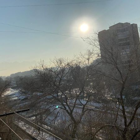 Standart Apartment On Kozhamkulov 128 阿拉木图 外观 照片