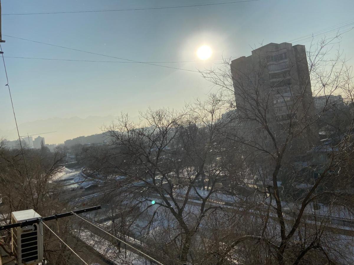 Standart Apartment On Kozhamkulov 128 阿拉木图 外观 照片